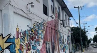 Commercial space in Wynwood park