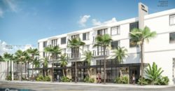 Develop Biscayne Boulevard Retail & Residential