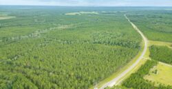 Land for Sale – 304-Acre Investment Opportunity