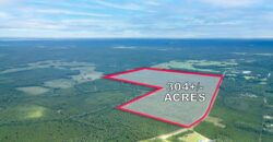 Land for Sale – 304-Acre Investment Opportunity