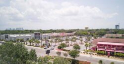 Tampa Retail Power Center for Sale