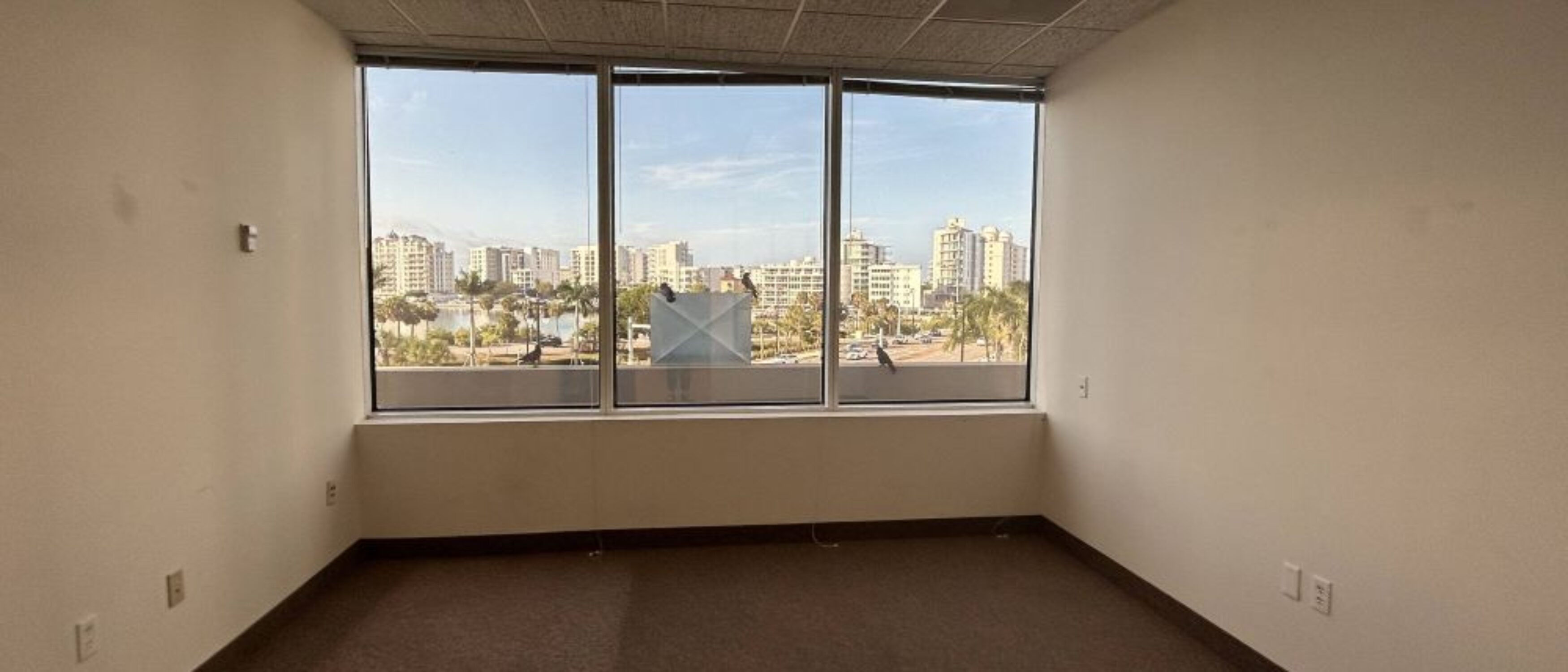 Office Space in Sarasota