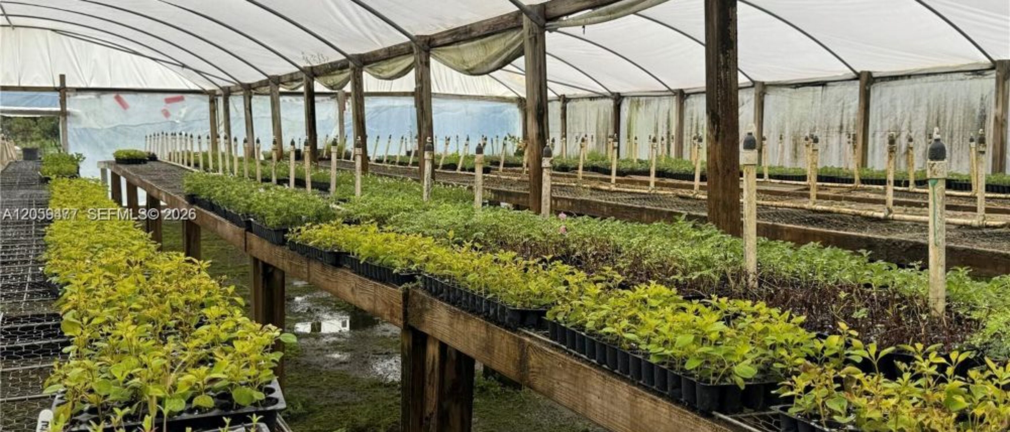 Nursery Business for Lease in Wauchula, FL