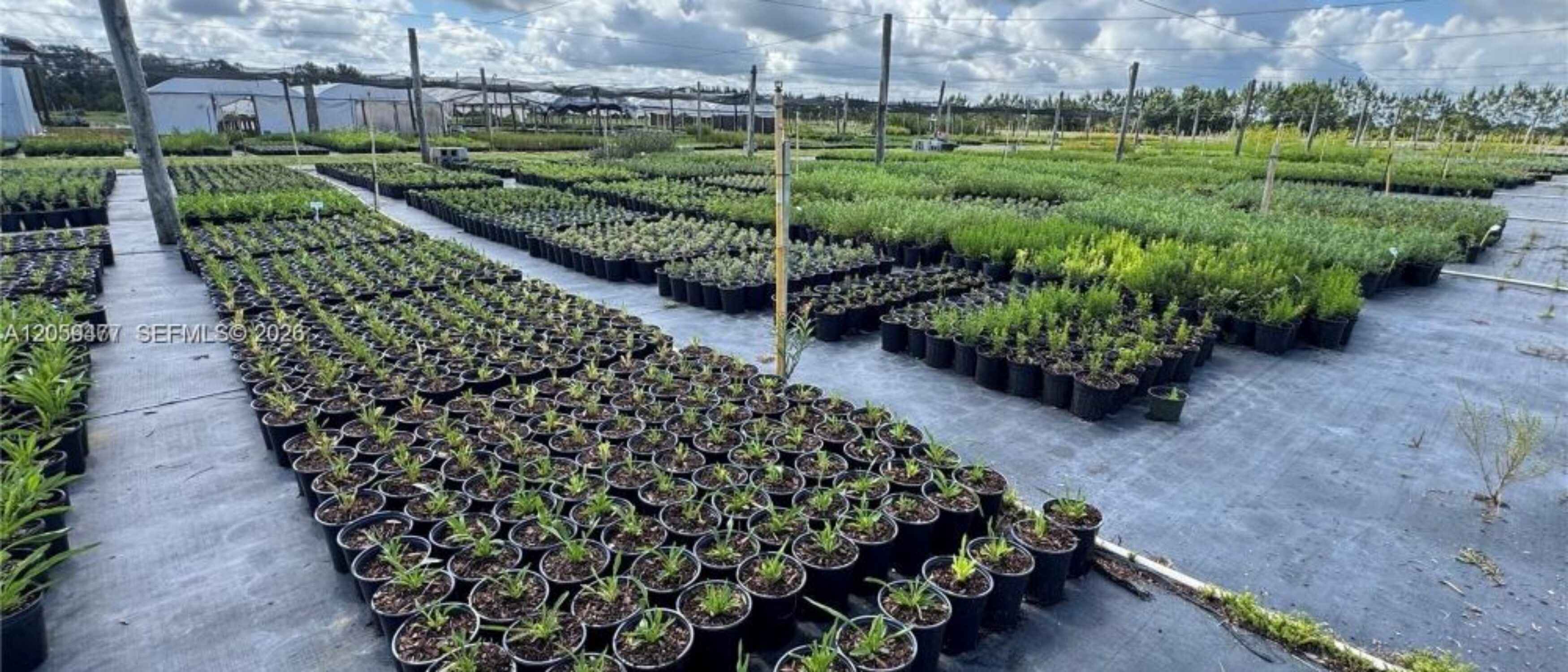 Nursery Business for Lease in Wauchula, FL