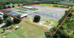 Nursery Business for Lease in Wauchula, FL