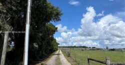 Nursery Business for Lease in Wauchula, FL